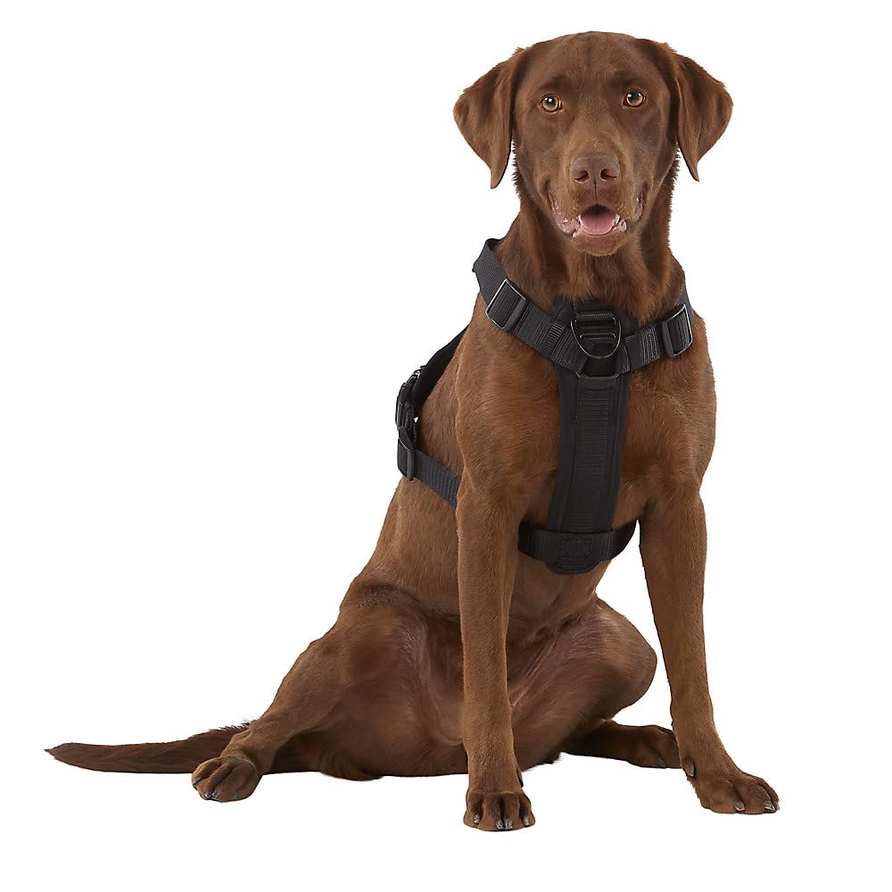 KONG harness with built-in waste dispenser shown from the side for easy access