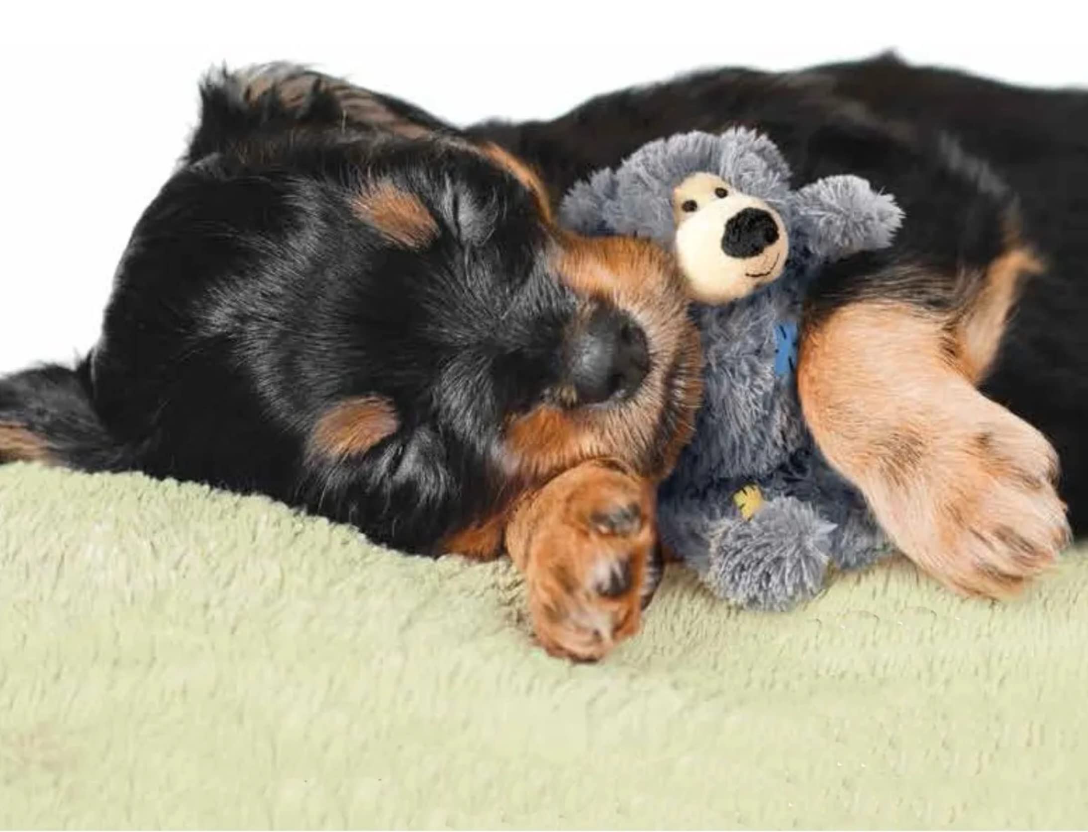 KONG Wild Knots Bears squeaker adds lively engagement during fetch and solo play