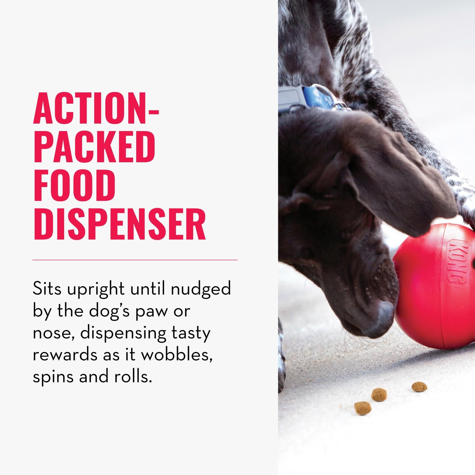 KONG Wobbler dishwasher-safe easy-clean for quick after-use maintenance
