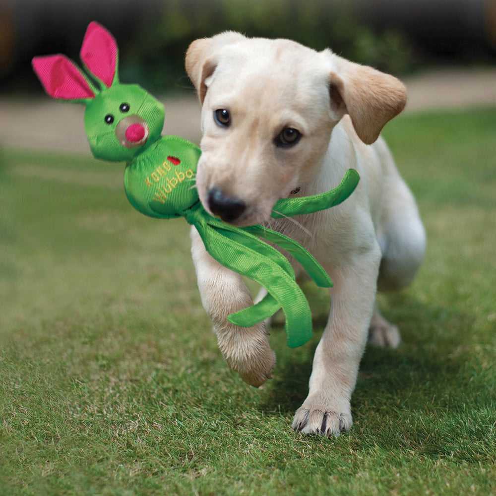 KONG Wubba Friends Ballistic dog toy designed for indoor and outdoor use