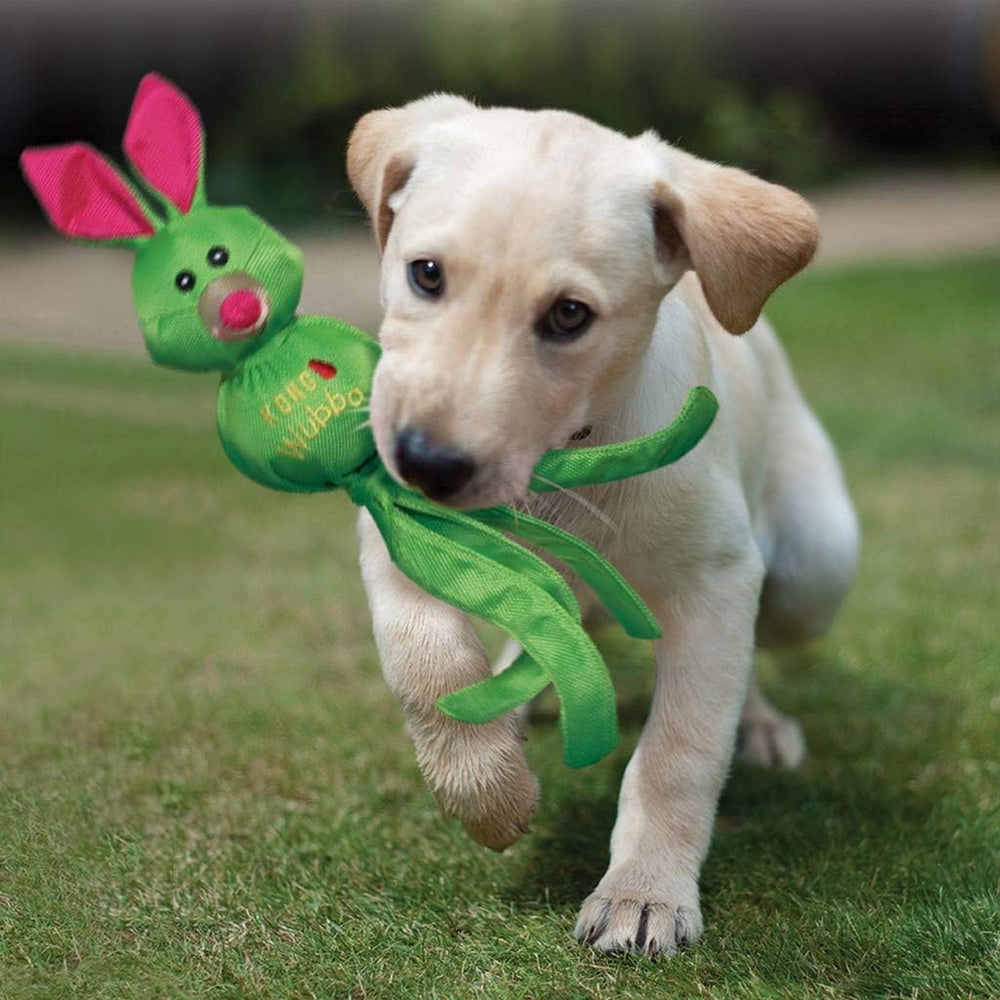KONG Wubba Friends Ballistic, juguete resistente para perros, perfecto para tira y afloja