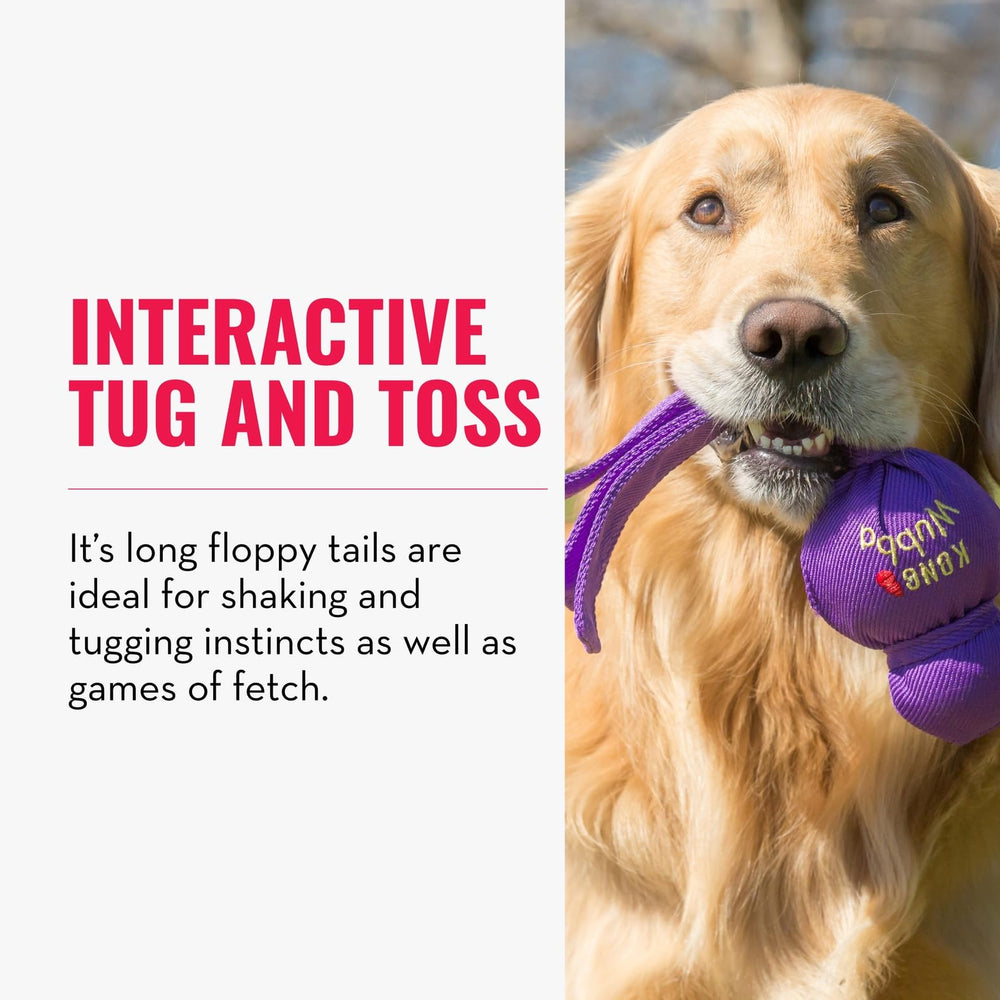 KONG Wubba interactive play prompts bonding and activity.