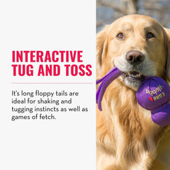 KONG Wubba interactive play prompts bonding and activity.