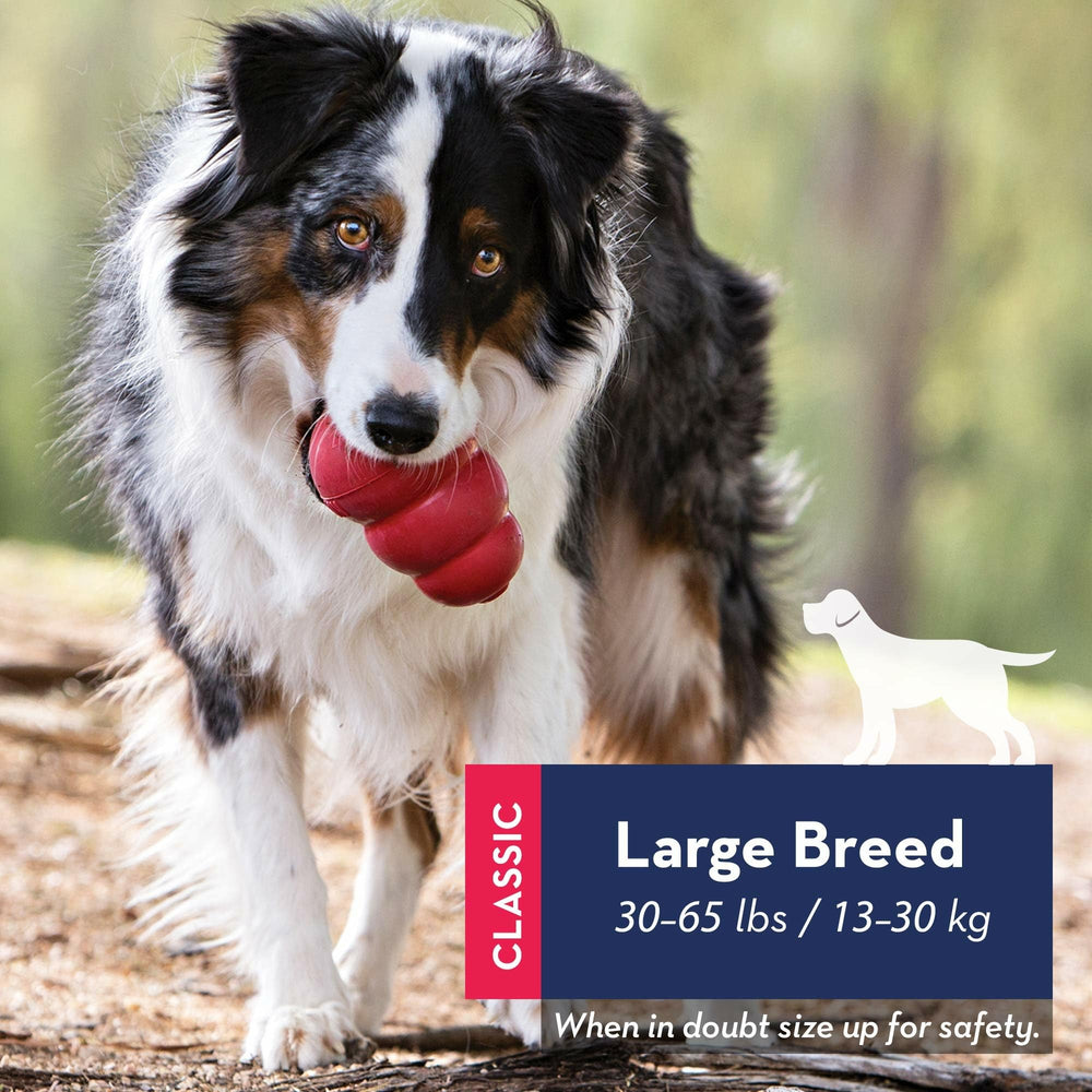 KONG Ziggies pack featuring plant-based treats for tasty dental-friendly reinforcement.