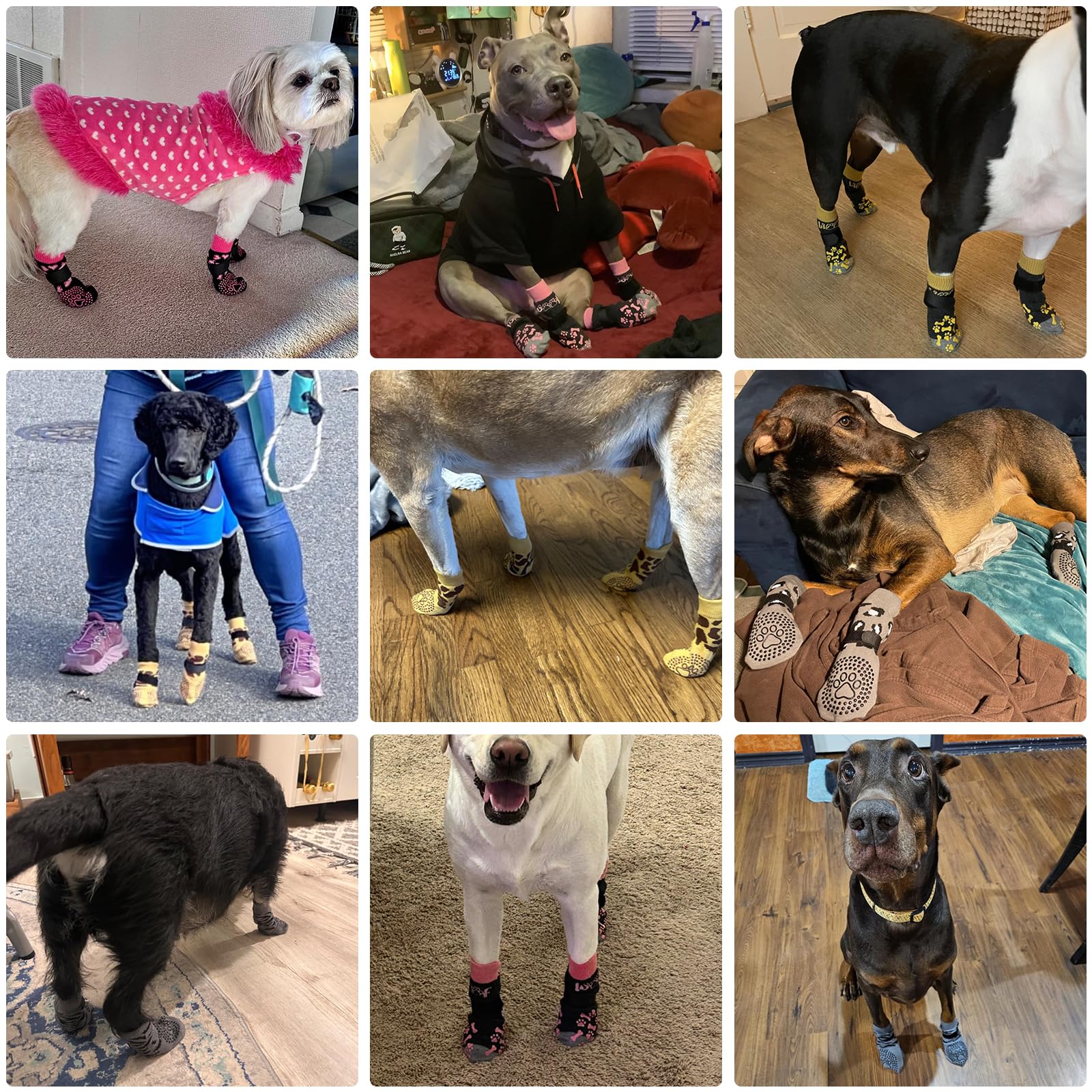 KOOLTAIL anti-slip socks on hardwood floor prevent slips and furniture scratching.