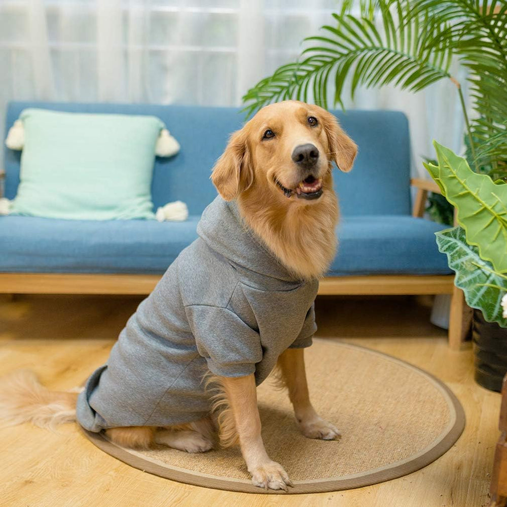 KOOLTAIL Basic Dog Hoodie color options showcase playful style for every pet
