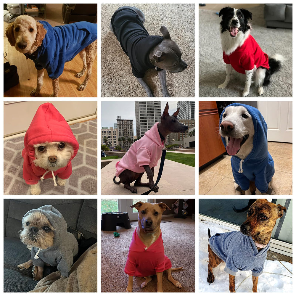 KOOLTAIL Basic dog hoodie purple color presents stylish winter wear.