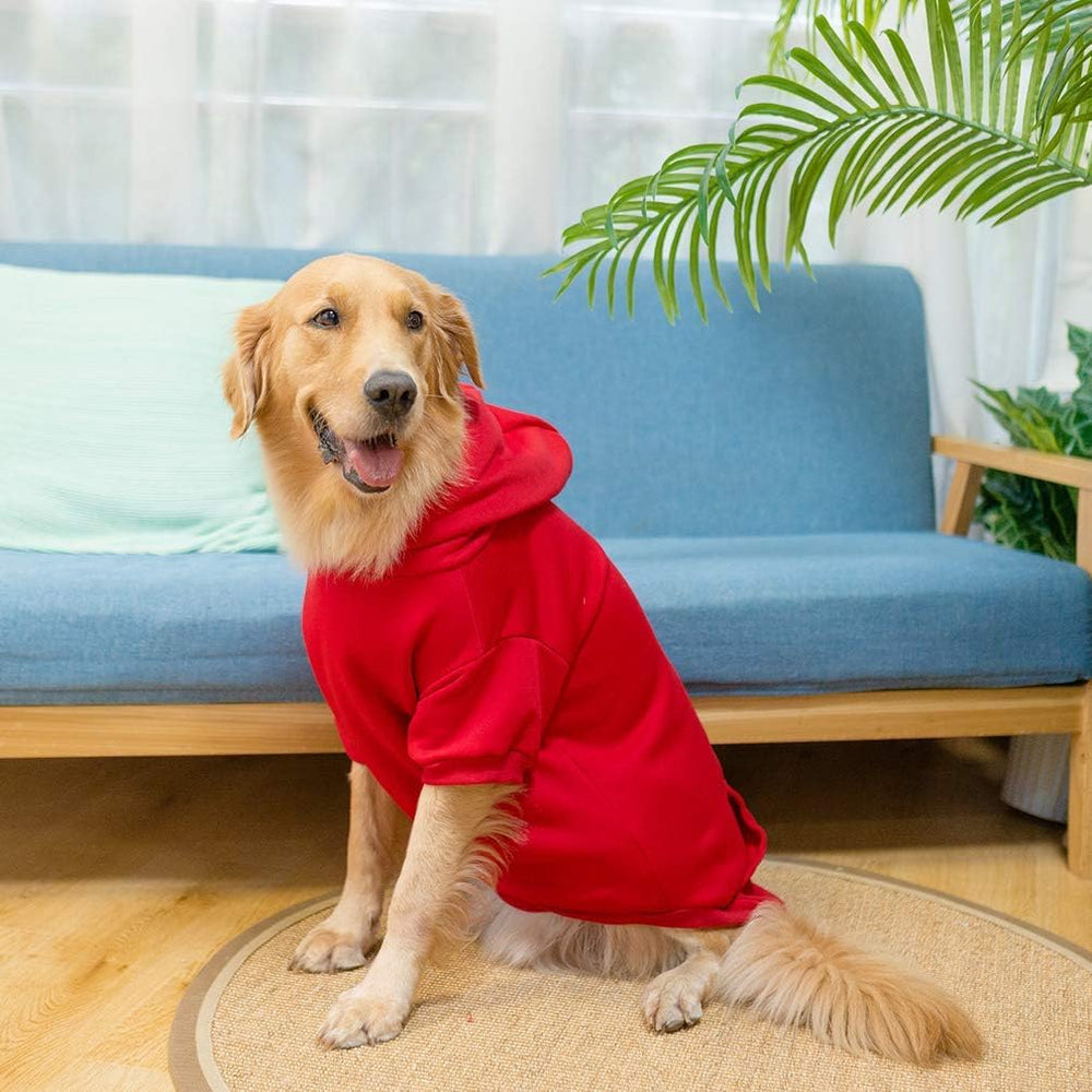 KOOLTAIL Basic Dog Hoodie green durable fabric for everyday wear