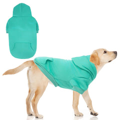 KOOLTAIL Basic Dog Hoodie lake blue front-view keeps dogs warm on chilly walks.