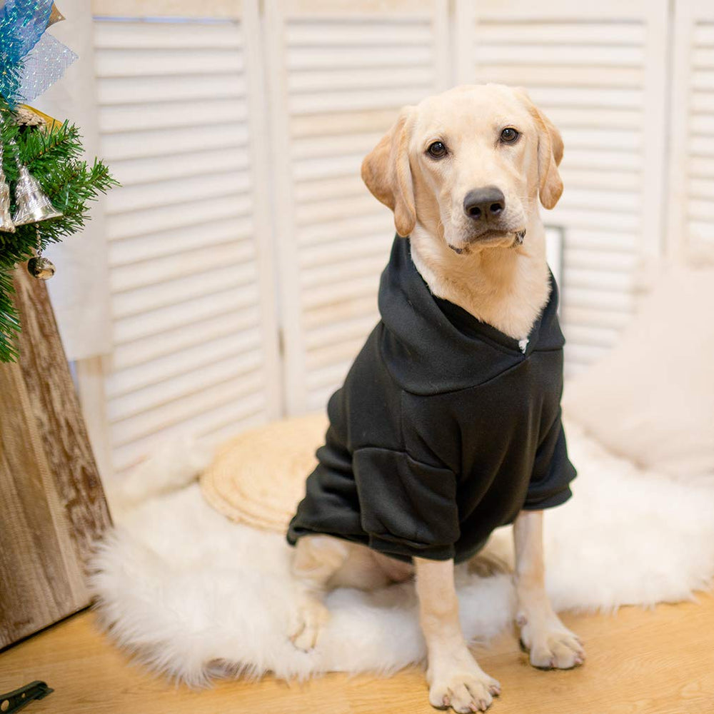 KOOLTAIL Basic Dog Hoodie worn by a large dog with a secure fit.