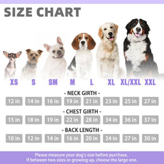 KOOLTAIL Basic Dog Hoodie lavender back view showing durable construction