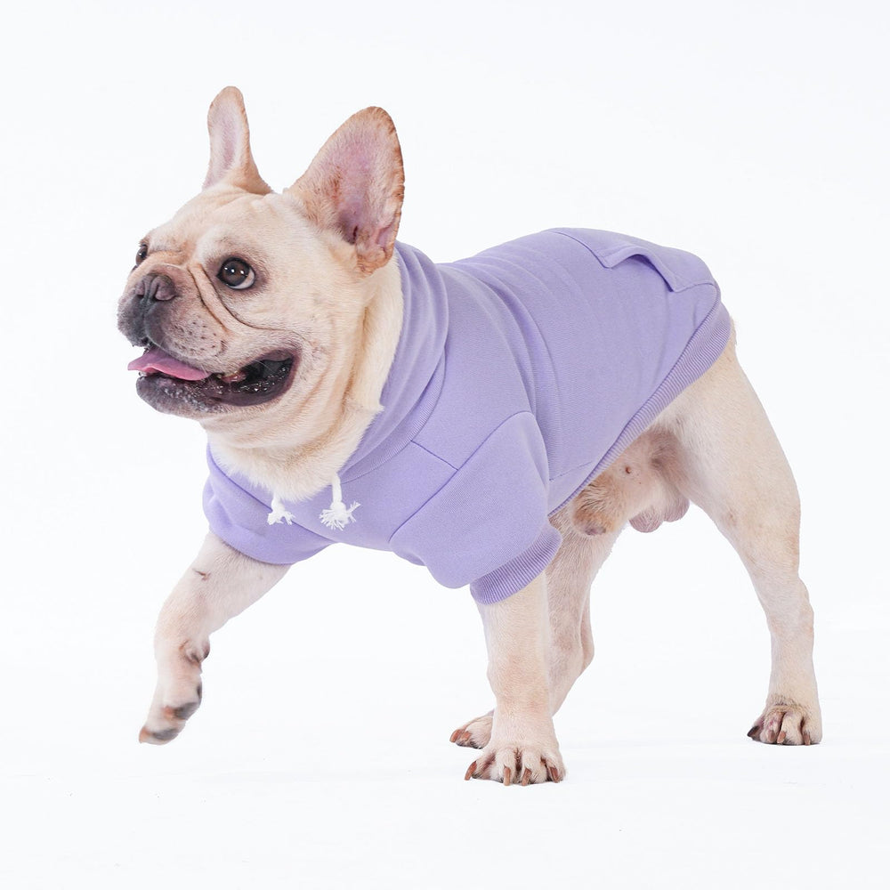 KOOLTAIL Basic Dog Hoodie in lavender color adds adorable style for XS-XXL dogs.