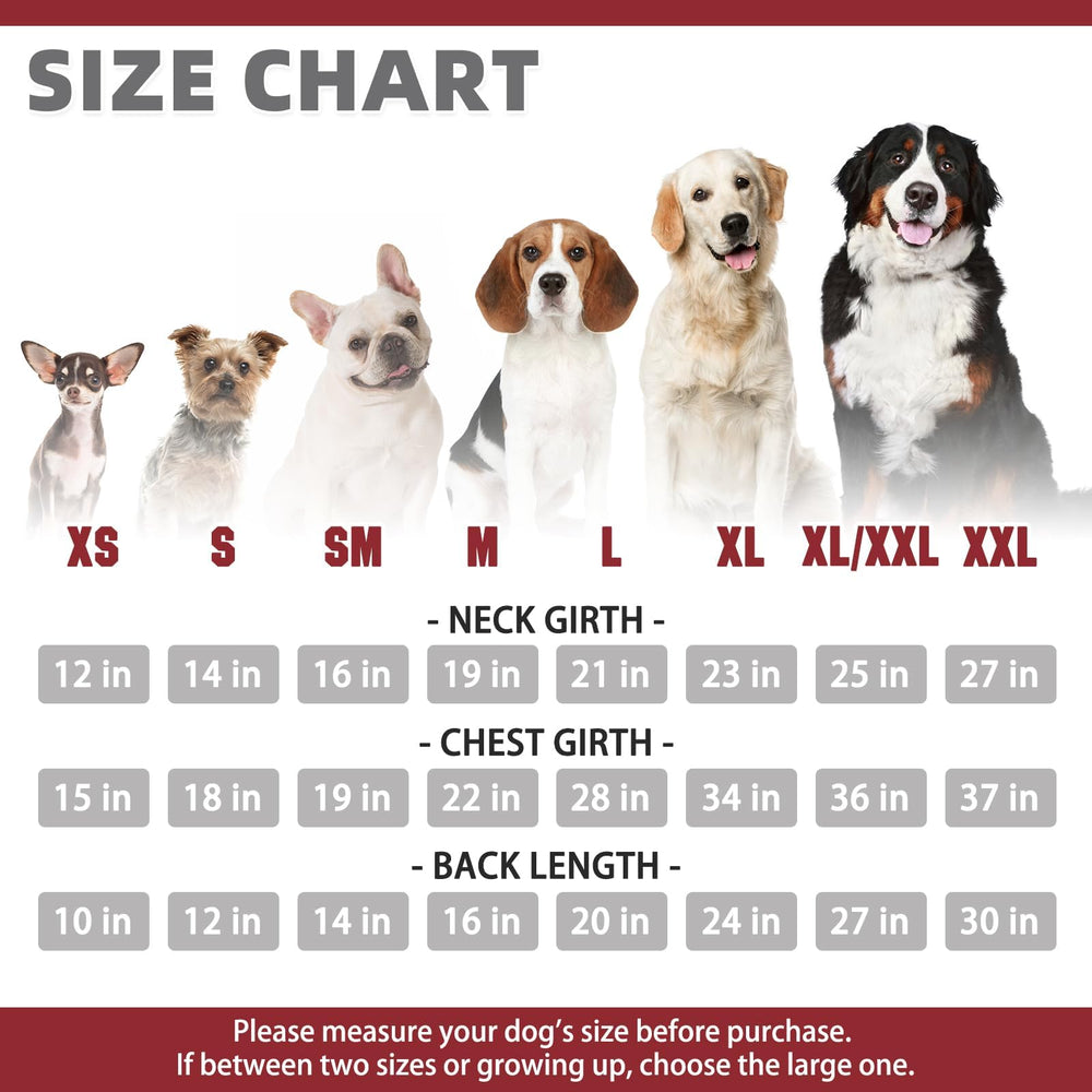KOOLTAIL Basic Dog Hoodie leash-hole detail enables easy harness use during walks.