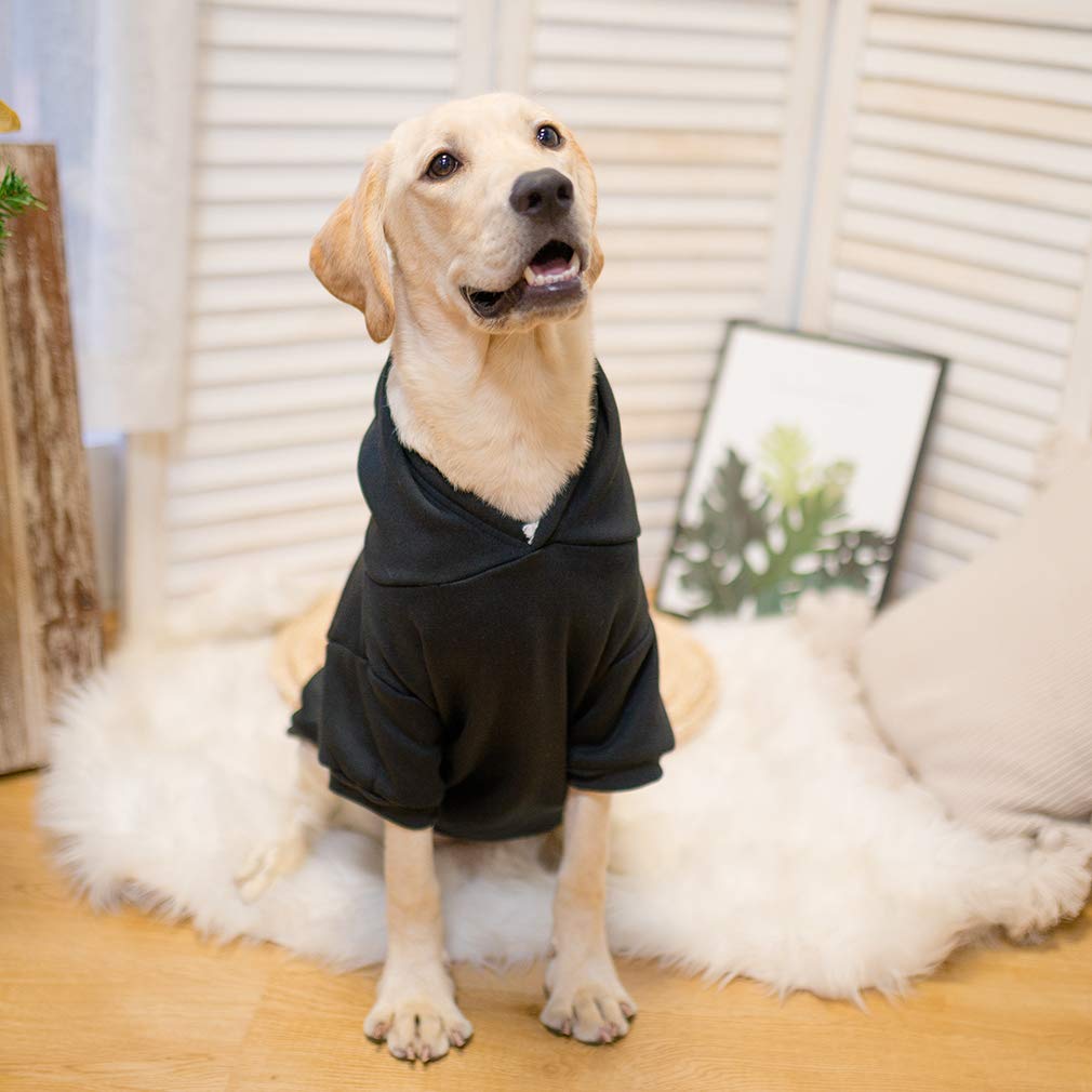 KOOLTAIL Basic Dog Hoodie machine washable for easy cleaning.