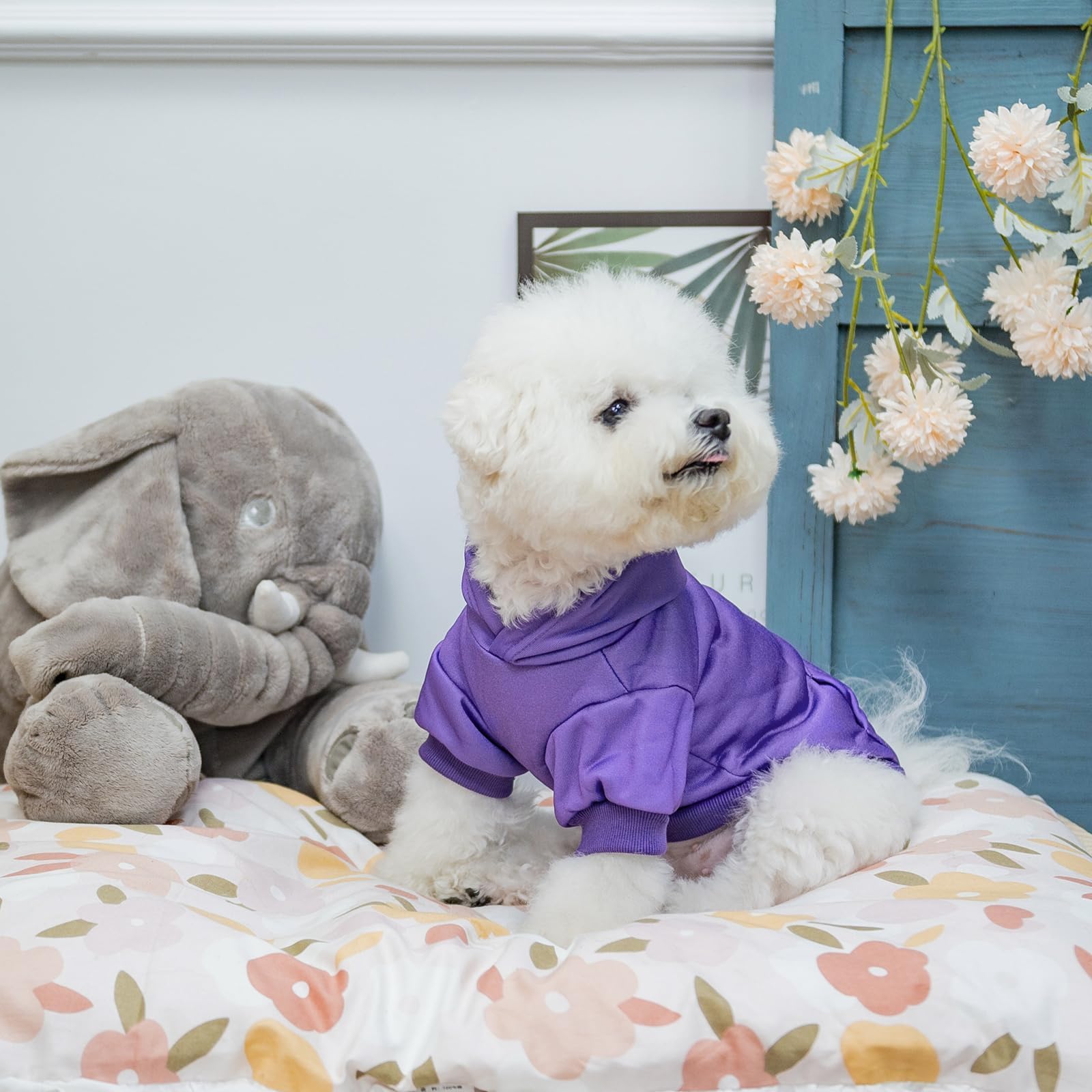 KOOLTAIL Basic dog hoodie material closeup reveals soft interior nap.
