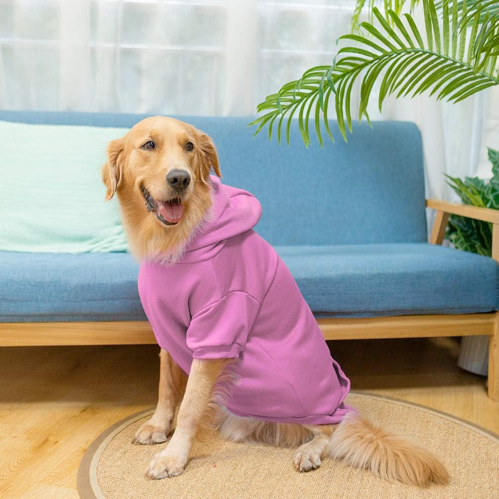 KOOLTAIL Basic Dog Hoodie worn during a walk in action.