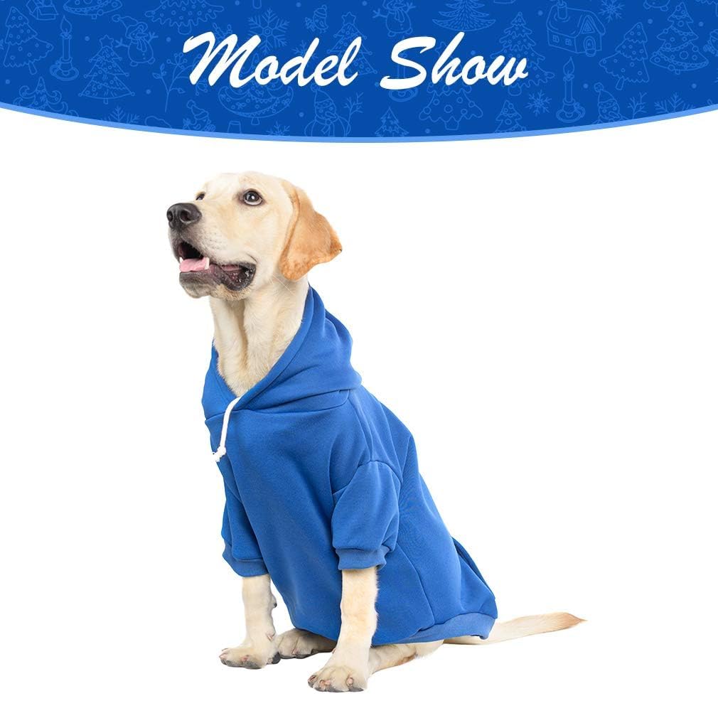 KOOLTAIL Basic Dog Hoodie pocket close-up showcasing convenient storage during outings