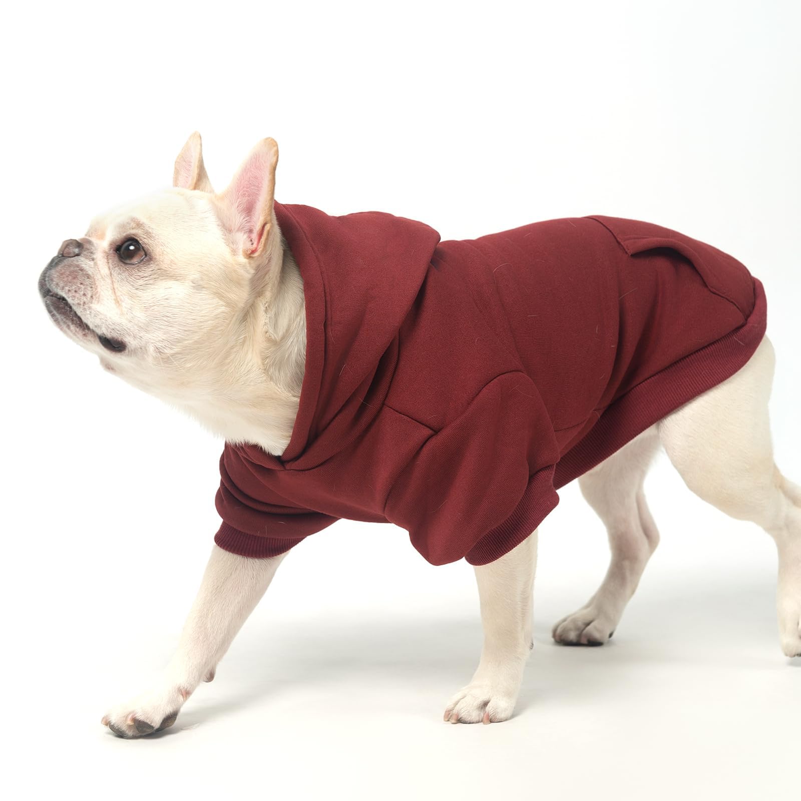 KOOLTAIL Basic Dog Hoodie wash-ready label communicates machine washable.