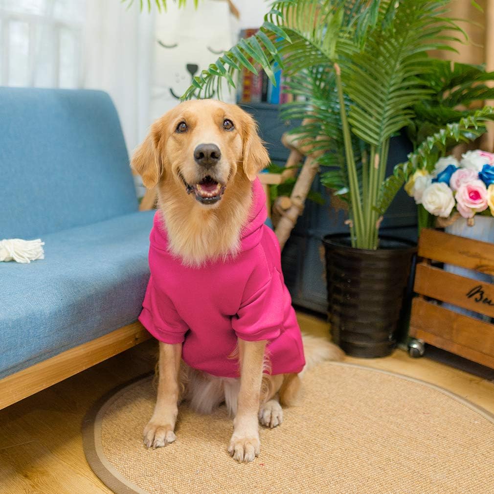 KOOLTAIL Basic hoodie care shot indicating machine-washability