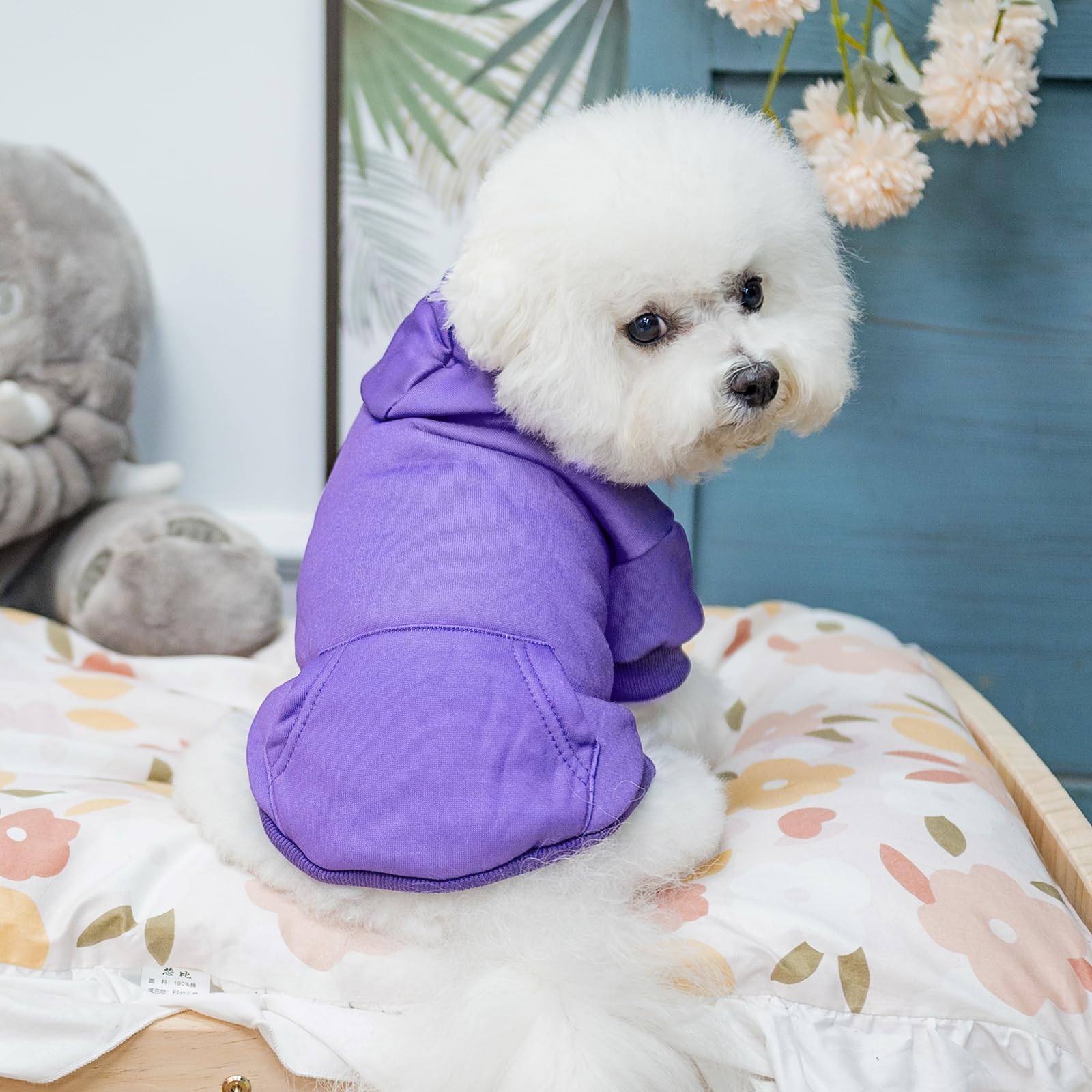KOOLTAIL Basic dog hoodie washable design for easy care.