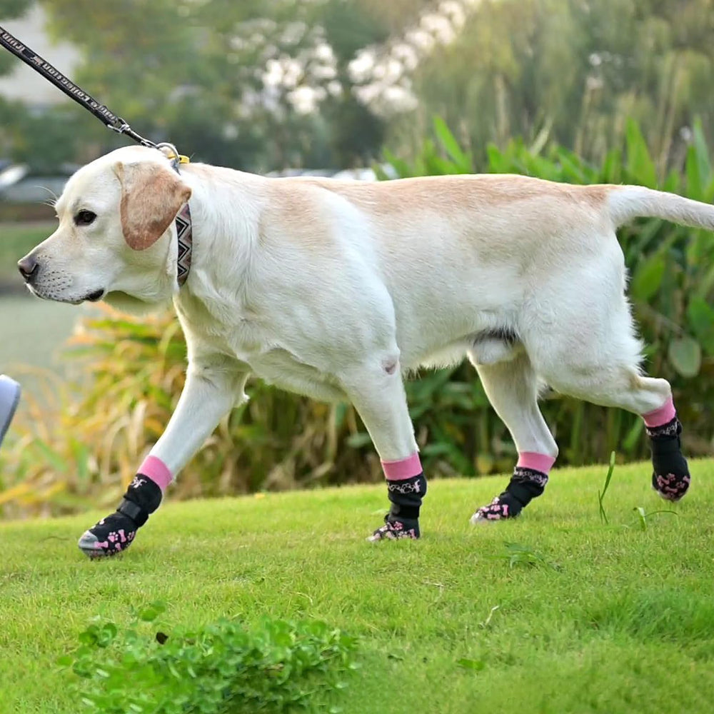 KOOLTAIL calcetines-perro protegen suelos y evitan lamidas de zonas sensibles.