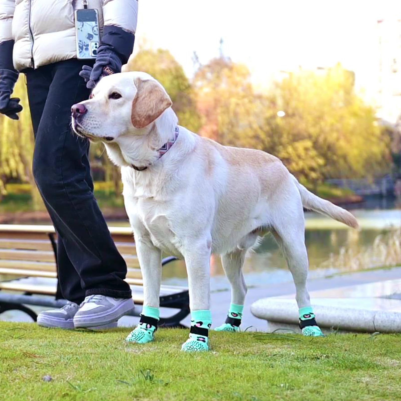 KOOLTAIL calcetines aptos para casa y paseos, evitando rascar muebles