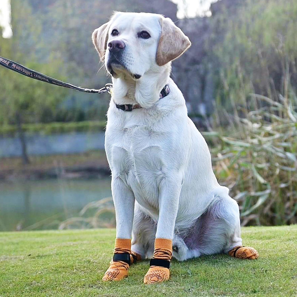 KOOLTAIL calcetines con tejido suave para comodidad diaria.