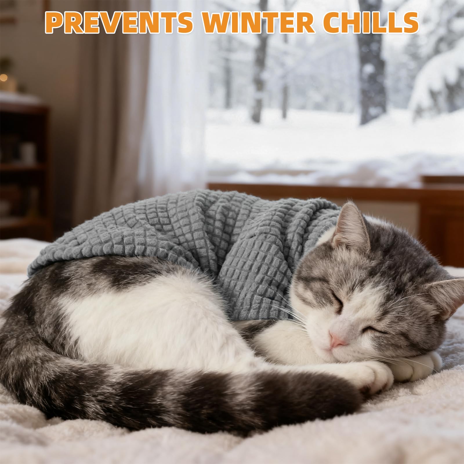 KOOLTAIL cat sweater winter warmth helps pets stay comfortable indoors.