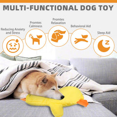 KOOLTAIL crinkle-limbs dog toy adds tactile stimulation for curiosity.