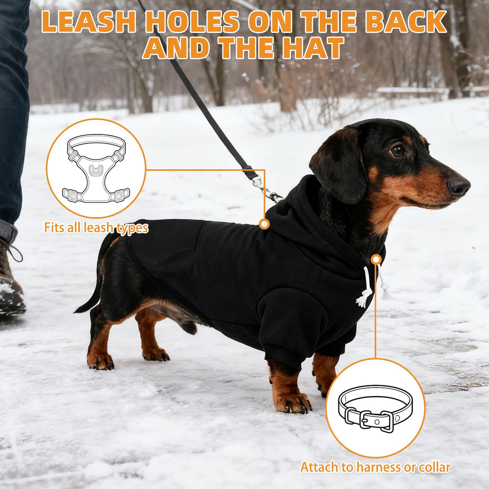 KOOLTAIL Dachshund Hoodie worn during a walk highlights motion-friendly design.