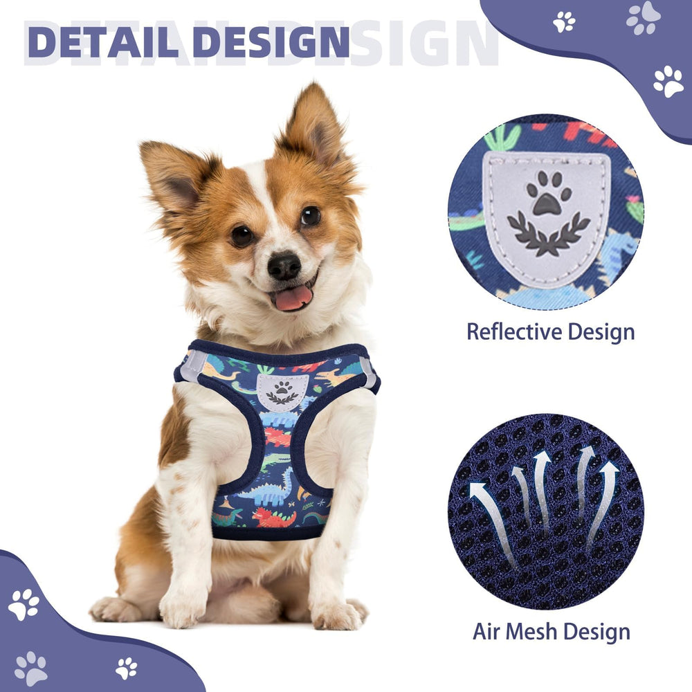 KOOLTAIL harness with reflective straps visible at dusk for safer evening walks.