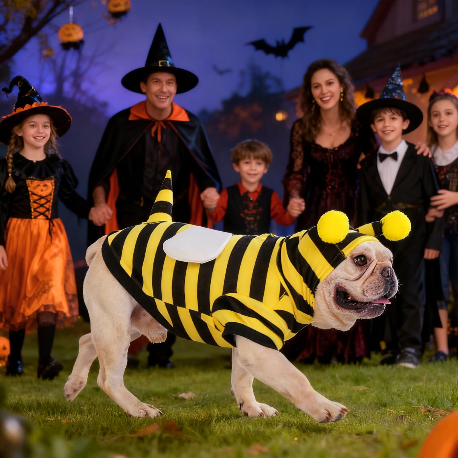 KOOLTAIL dog bee costume worn by pet during events