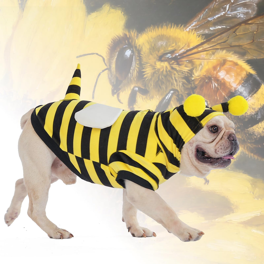 KOOLTAIL dog bee costume headgear integrated for realistic look