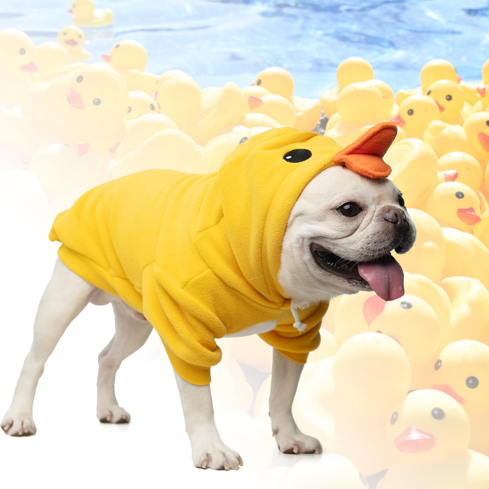 KOOLTAIL dog duck costume on dog demonstrates cute cosplay potential.