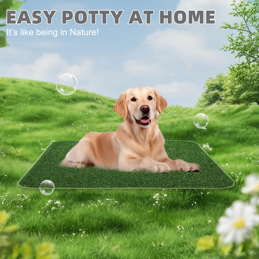 KOOLTAIL dog grass pad puppy training setup for easy indoor potty