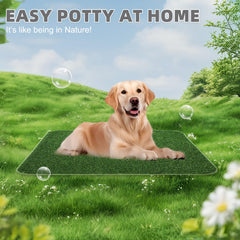 KOOLTAIL dog grass pad puppy training setup for easy indoor potty