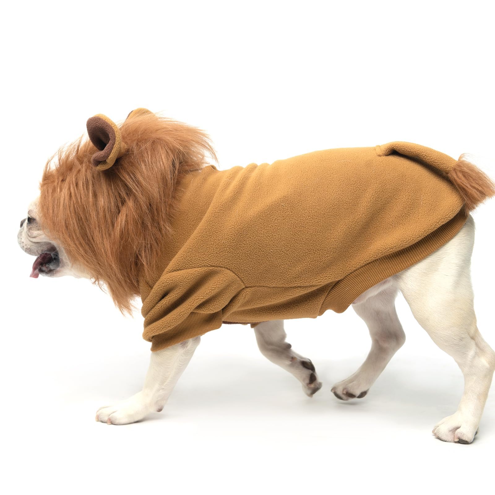 KOOLTAIL Holiday cosplay ready outfit ideal for parties.