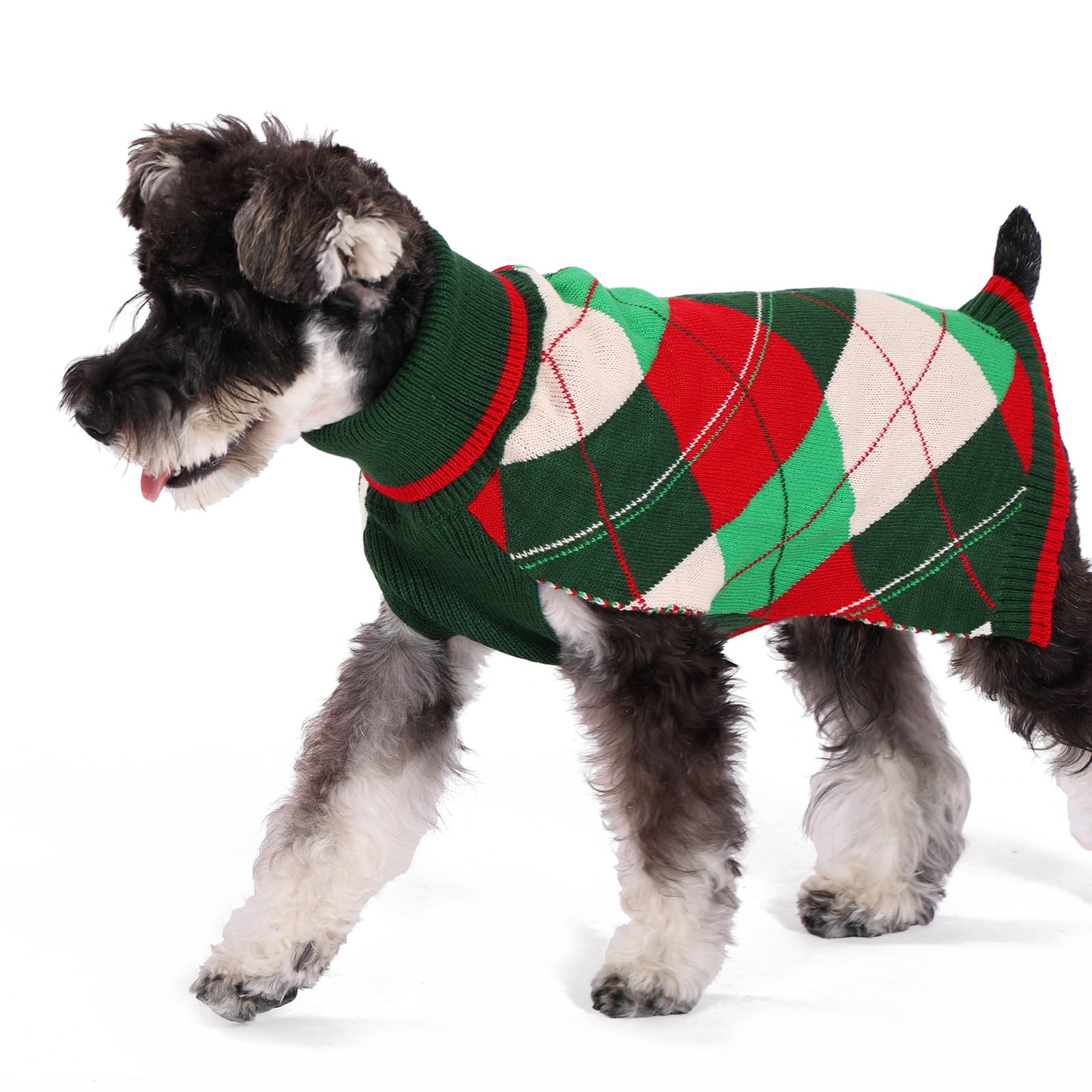 KOOLTAIL dog holiday photo-ready — enhances seasonal family photos.