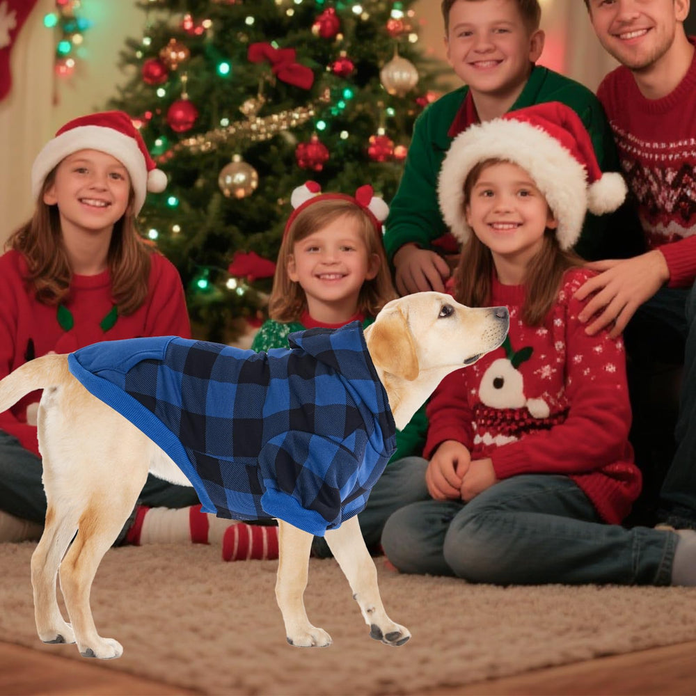 KOOLTAIL dog hoodie with adjustable hood for secure, comfortable wear.