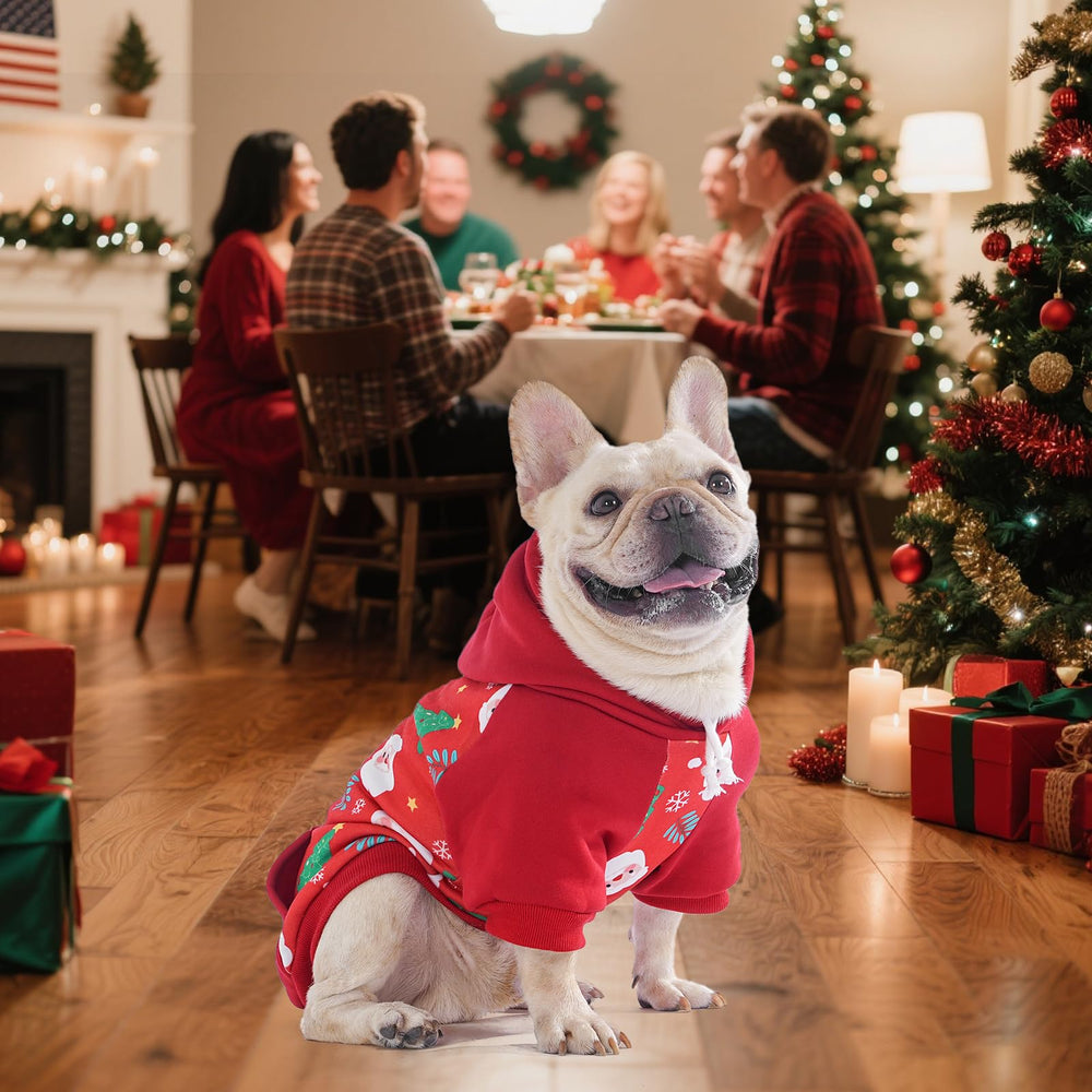 KOOLTAIL dog hoodie fabric-softness highlights plush feel and cozy warmth.