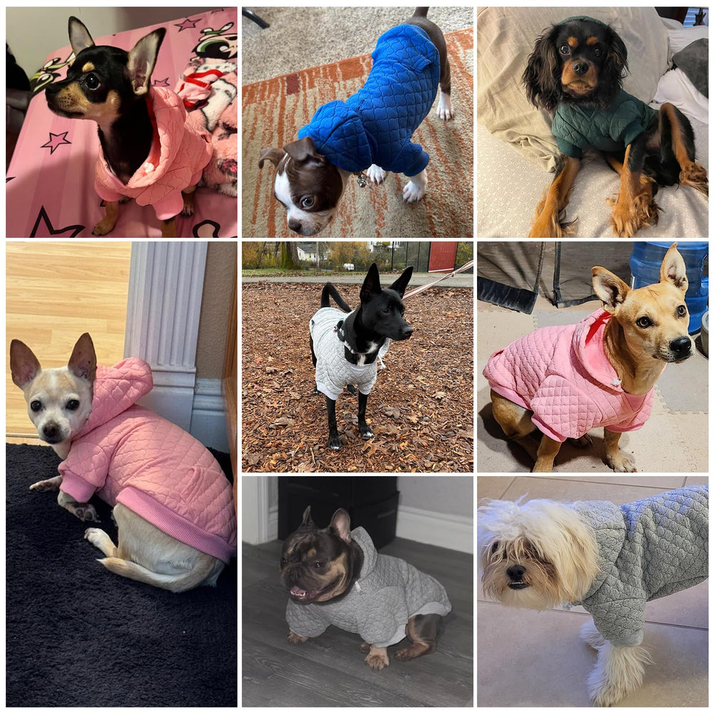 KOOLTAIL dog hoodie gray M high-belly cut for comfortable bathroom breaks.