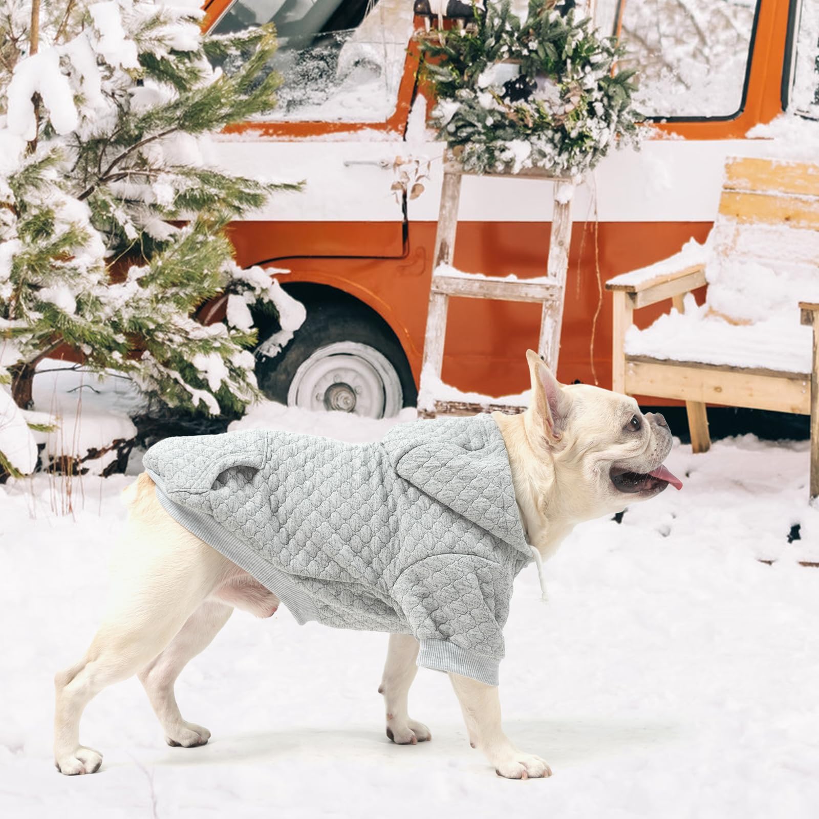 KOOLTAIL dog hoodie gray M machine washable care for easy cleaning.