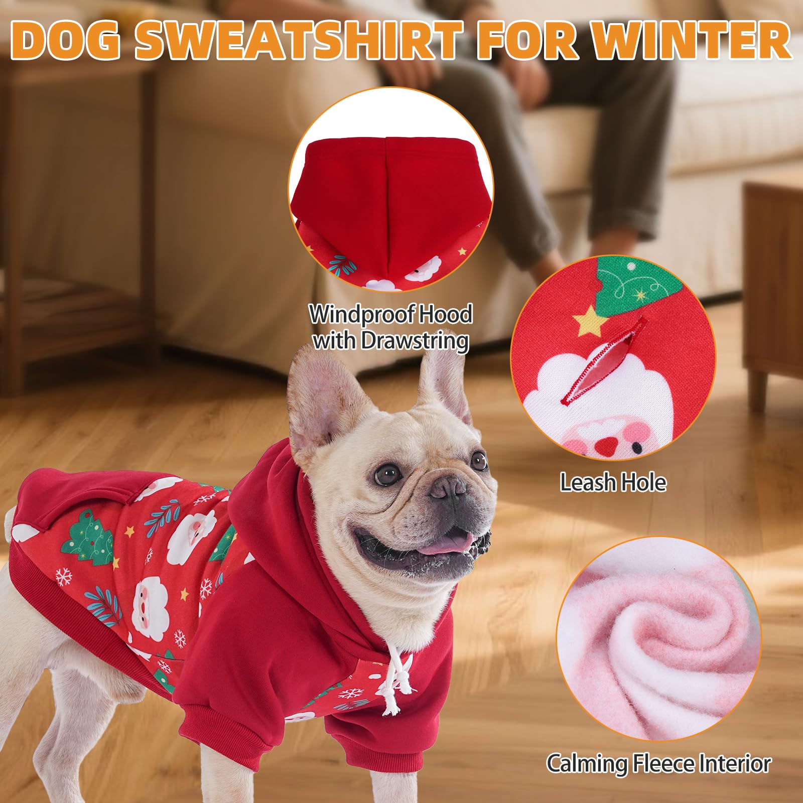 KOOLTAIL dog hoodie hat-hood demonstrates versatile warmth with wind protection.
