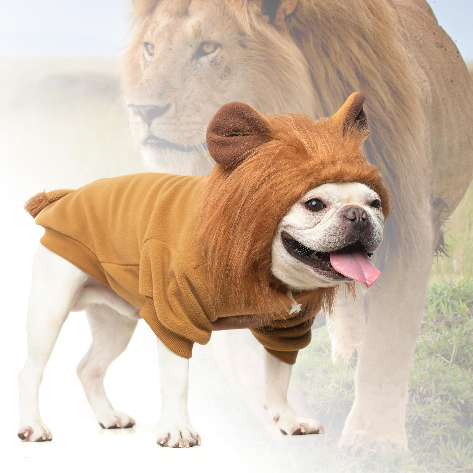 KOOLTAIL Polyester mane and cotton filling enhance expressive detail.