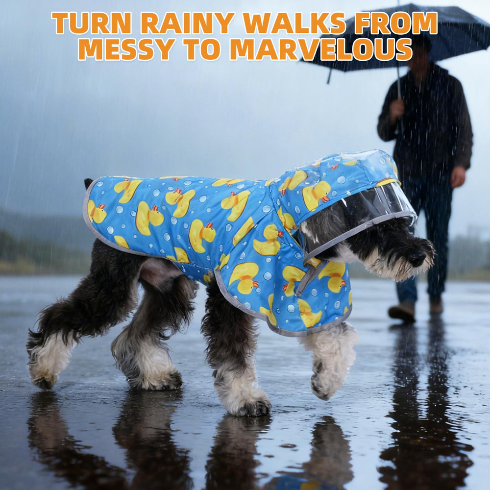 KOOLTAIL dog raincoat double-layer waterproof construction in action