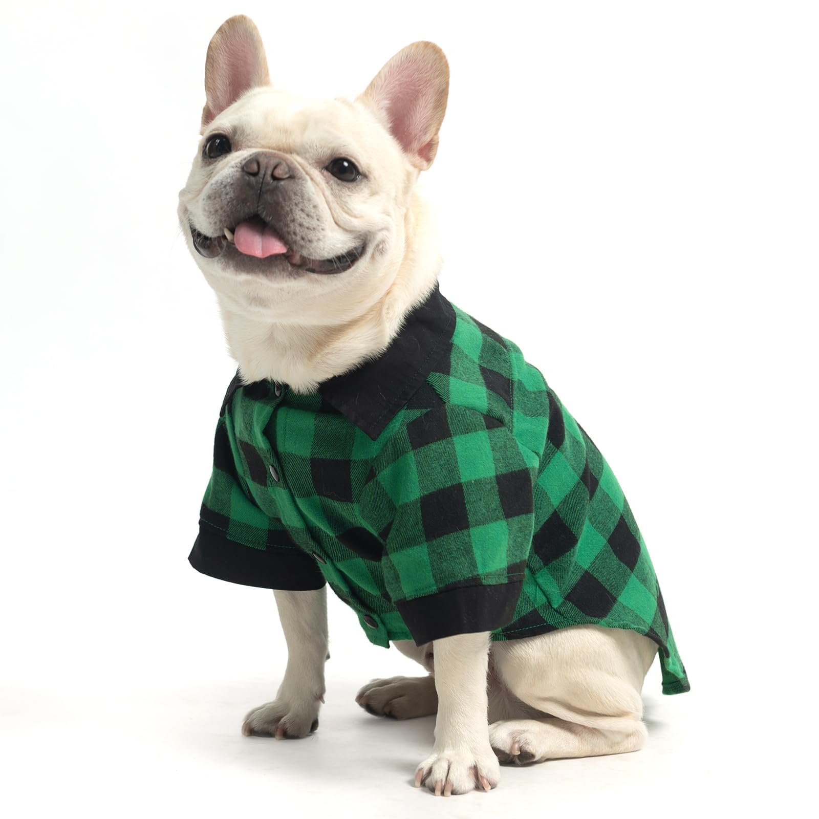 KOOLTAIL dog shirt front view in Christmas green plaid boosts festive style and comfort