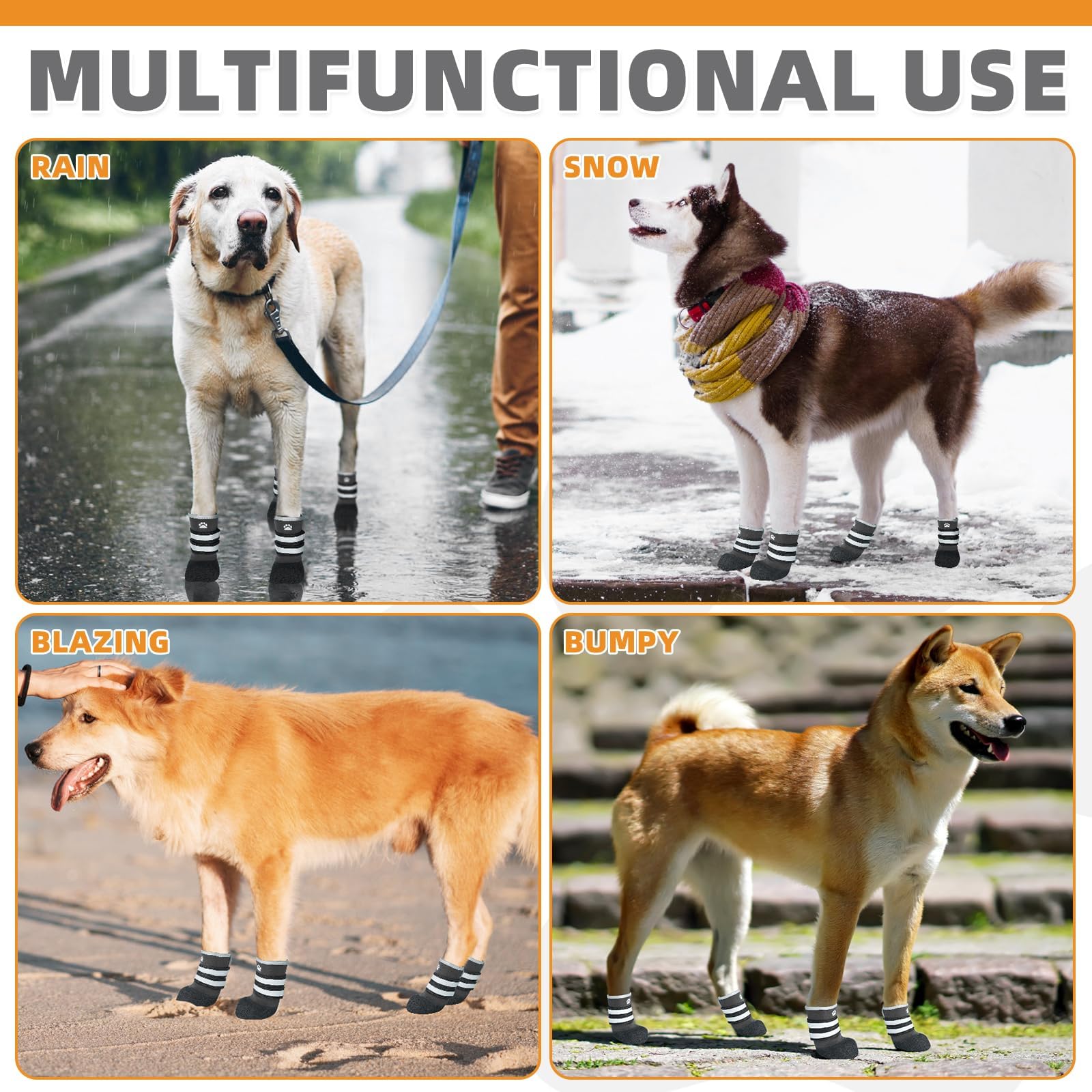 KOOLTAIL dog shoes support comfortable walks on trails.