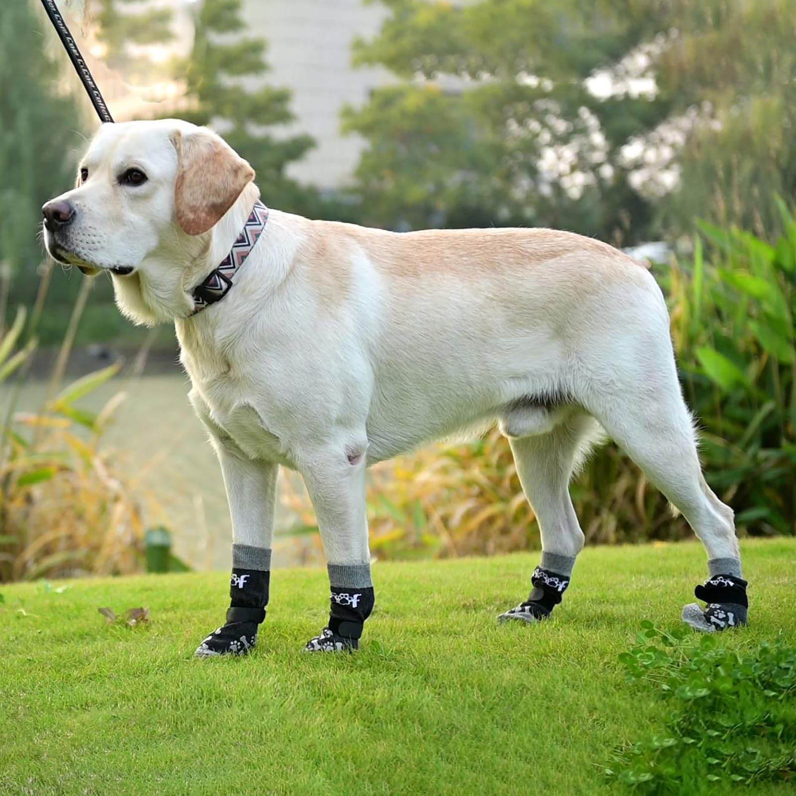 KOOLTAIL dog socks anti-scratch-floor-protection helps protect furniture and floors
