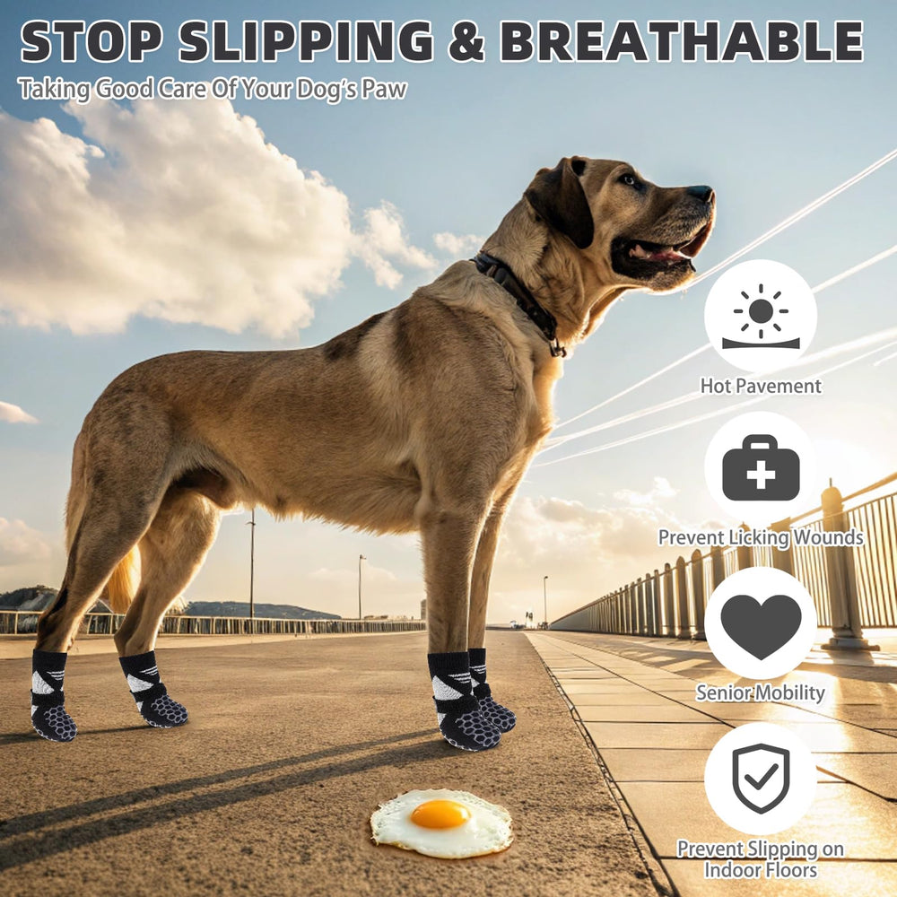 KOOLTAIL breathable mesh dog socks keep paws cool during sunny walks