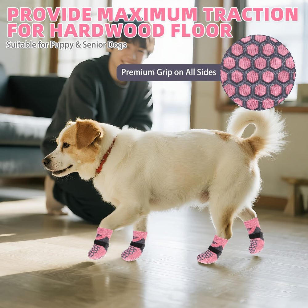 KOOLTAIL XS dog wearing socks showing extra small fit